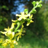 1009F 046 Goeppingen-PB